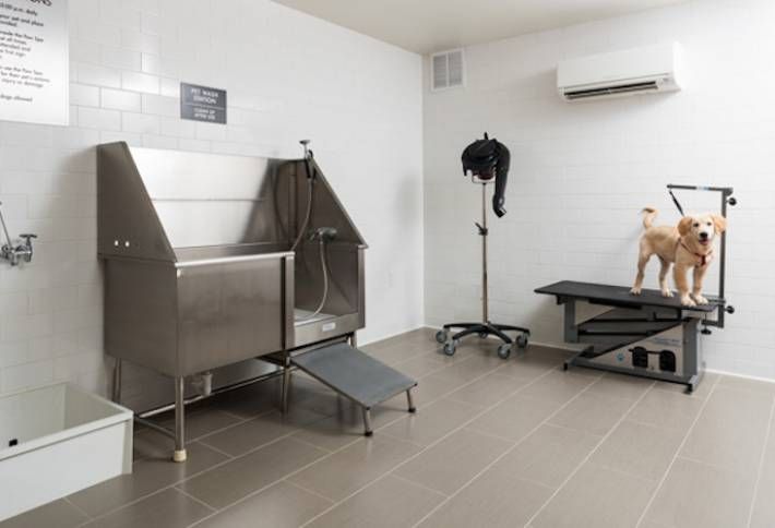 Apartments For Rent Near Him