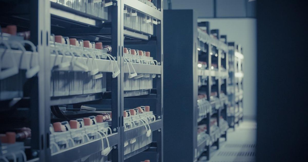 Data Centers Prop Up Construction Industry Amid Economic Turmoil Data Centers Prop Up Construction Industry Amid Economic Turmoil
