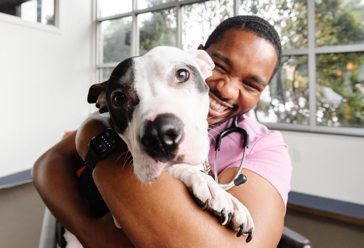 Rise Of High-End Veterinary Practices Coincides With Retail Bankruptcy Wave Rise Of High-End Veterinary Practices Coincides With Retail Bankruptcy Wave