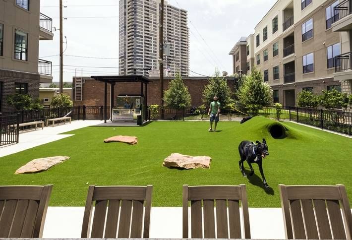 The Best Apartments for Your Dog