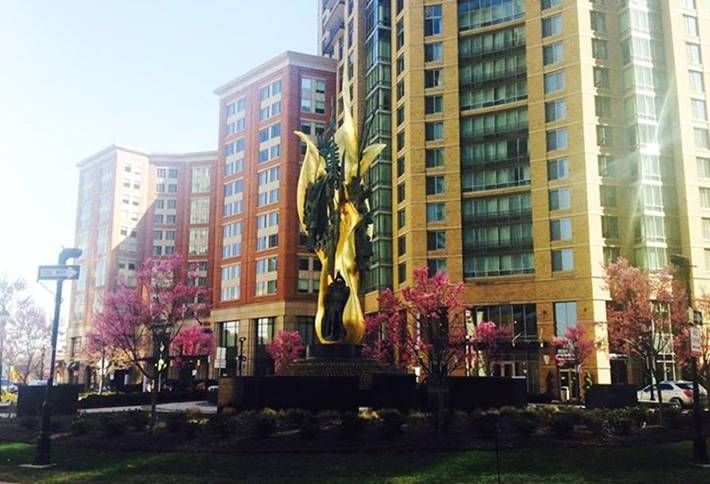 Everything You Need To Know About Johns Hopkins University's Graduate Real Estate Program