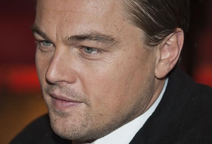DiCaprio's Long-Awaited Oscar Came From a Movie Written by an Ex-Mayer Brown Partner