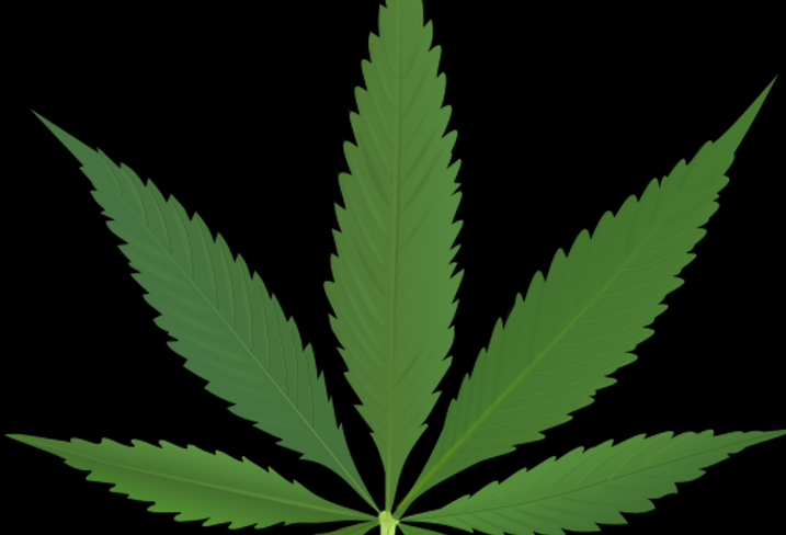 DC Studies Private Pot Clubs