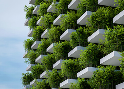 Sustainability Brief