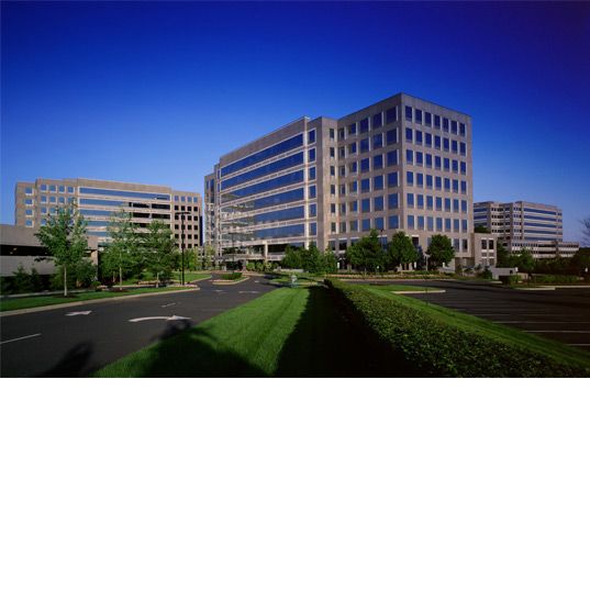 New Jersey State of the Market in New Jersey - Main Image